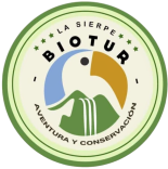 2019afb0-1eb5-4420-ba7a-d10697cbcca0_removalai_preview